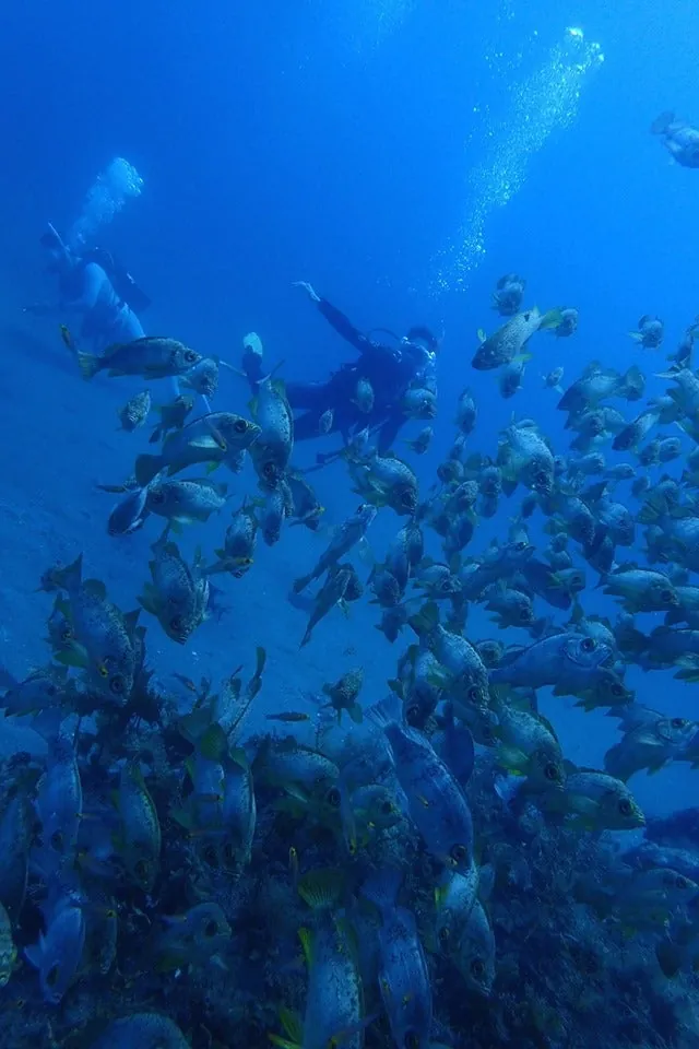 8月6日　北小浦 写真2