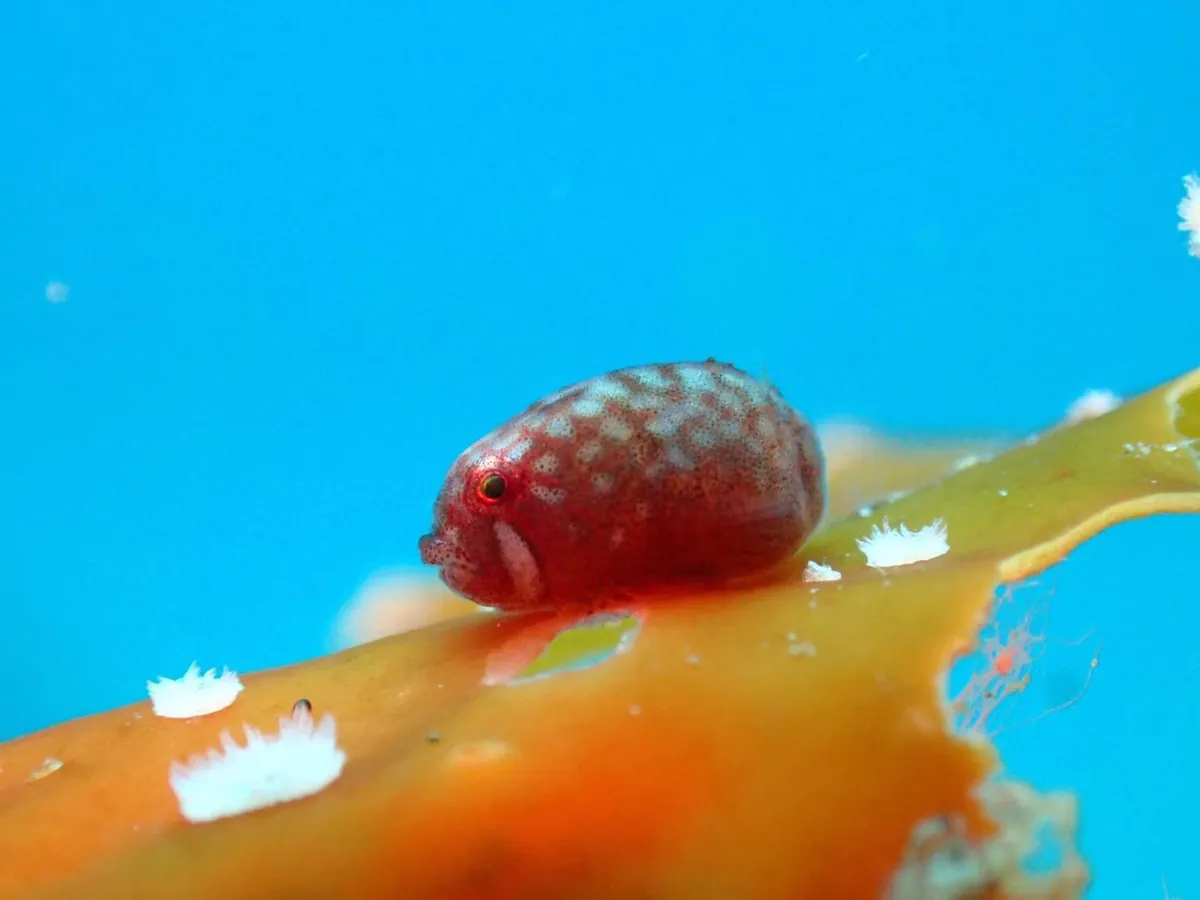 5月2日＿虫崎 写真4
