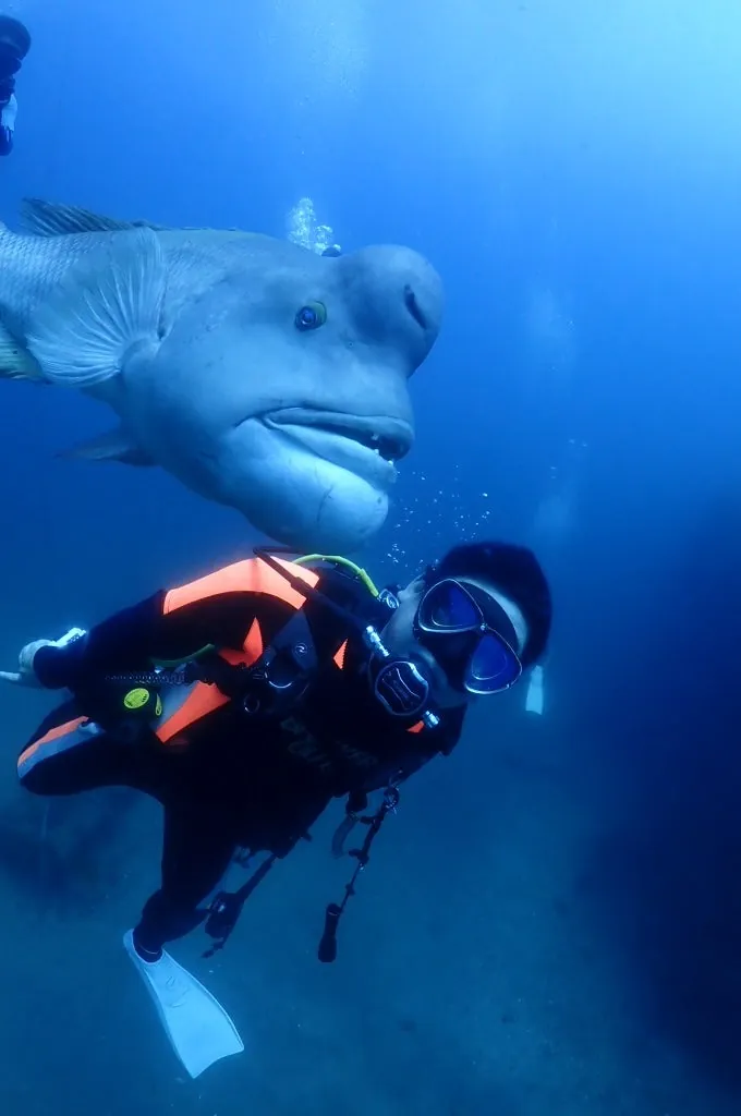 8月6日_北小浦(赤タツ発見) 写真1