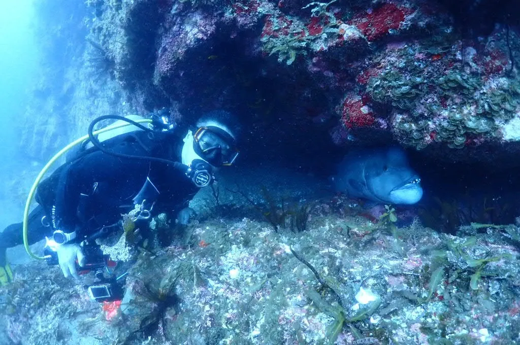 8月6日_北小浦(赤タツ発見) 写真2