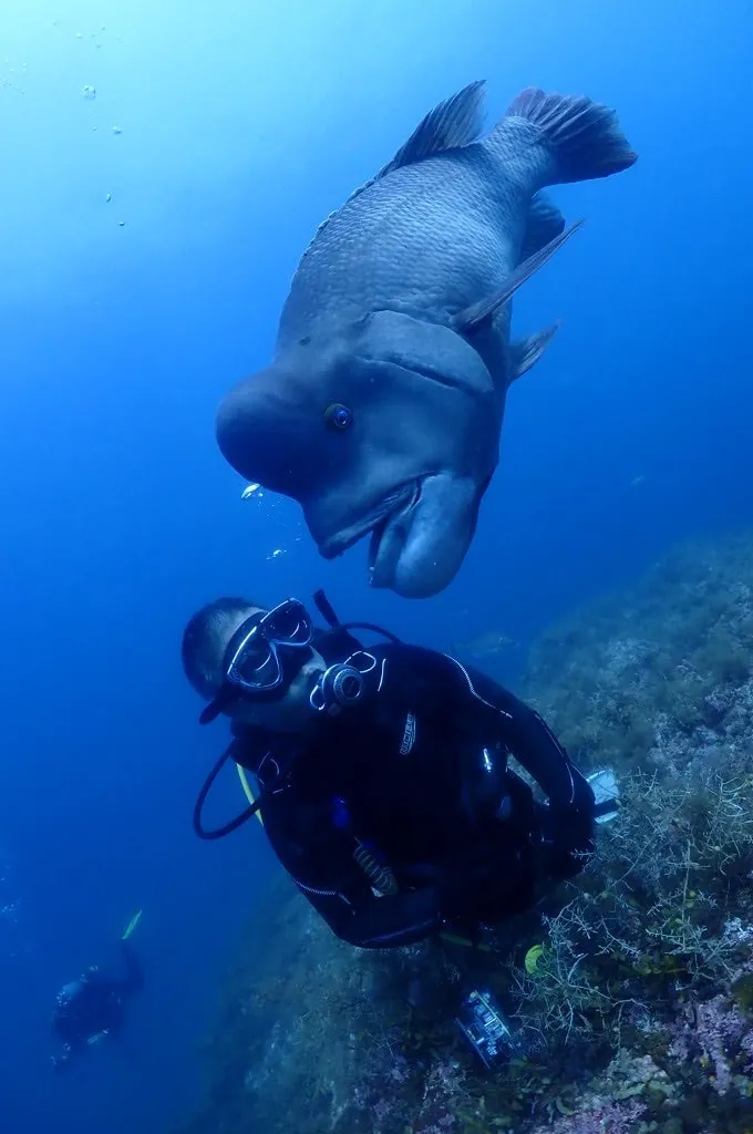 8月6日_北小浦(赤タツ発見) 写真3