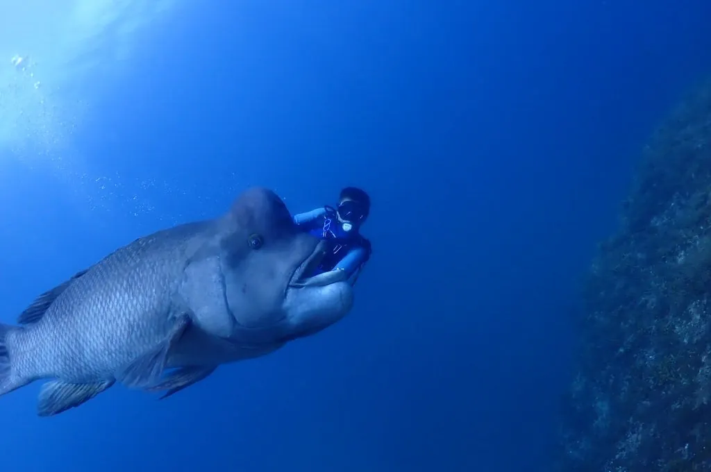 8月6日_北小浦(赤タツ発見) 写真4