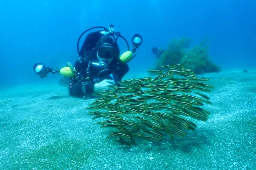 8月24日_北小浦(浅瀬も気持ちがいい) 写真2