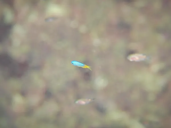 10月6日_秋の海なにが起こるか分からない‼︎