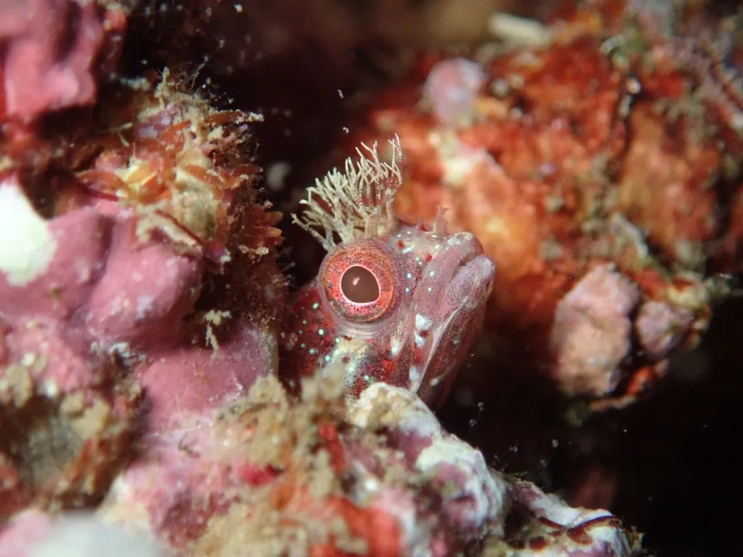 10月9日_祝400本魚影抜群の海 写真2