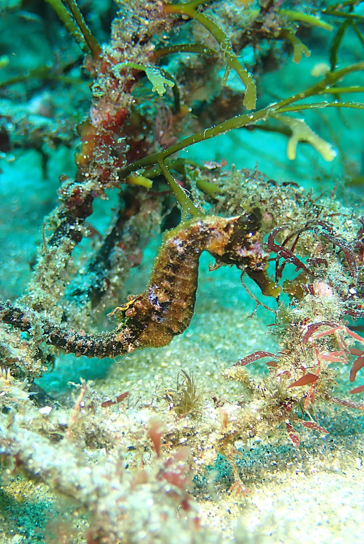 03月07日＿突風の虫崎で！！GO DIVE 写真1