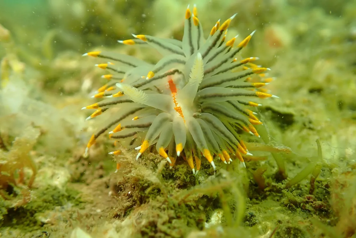 ４月１６日　加茂湖・虫崎 写真1