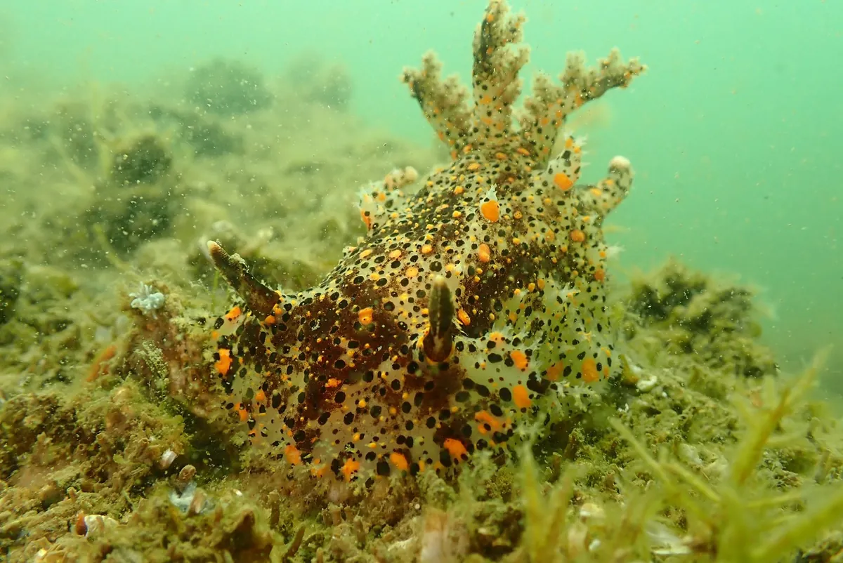 ４月１６日　加茂湖・虫崎 写真3