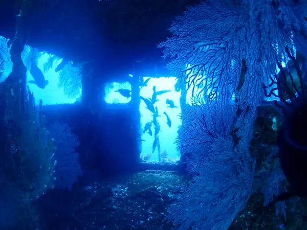 北小浦の沈船の中から見た窓