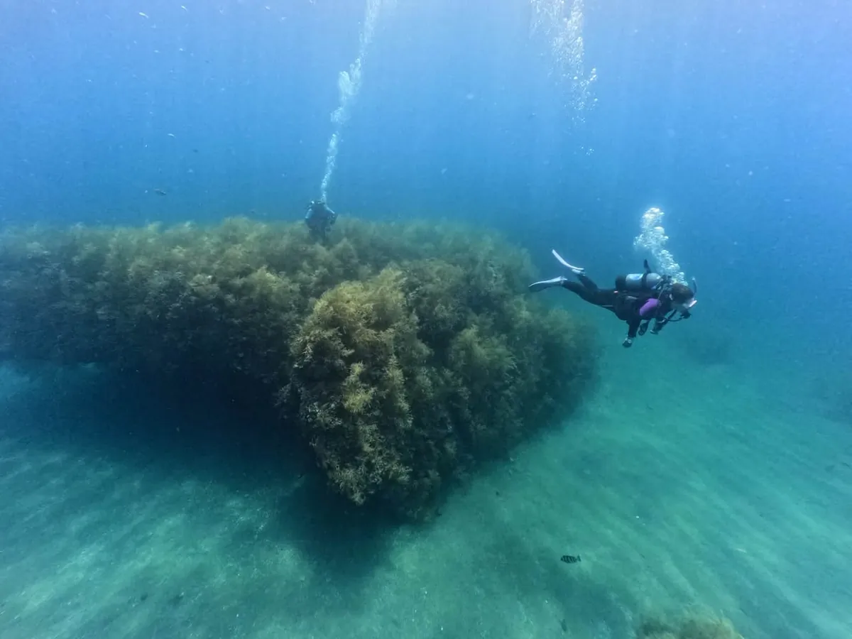 ７月８日　北小浦（長手・赤岩） 写真4