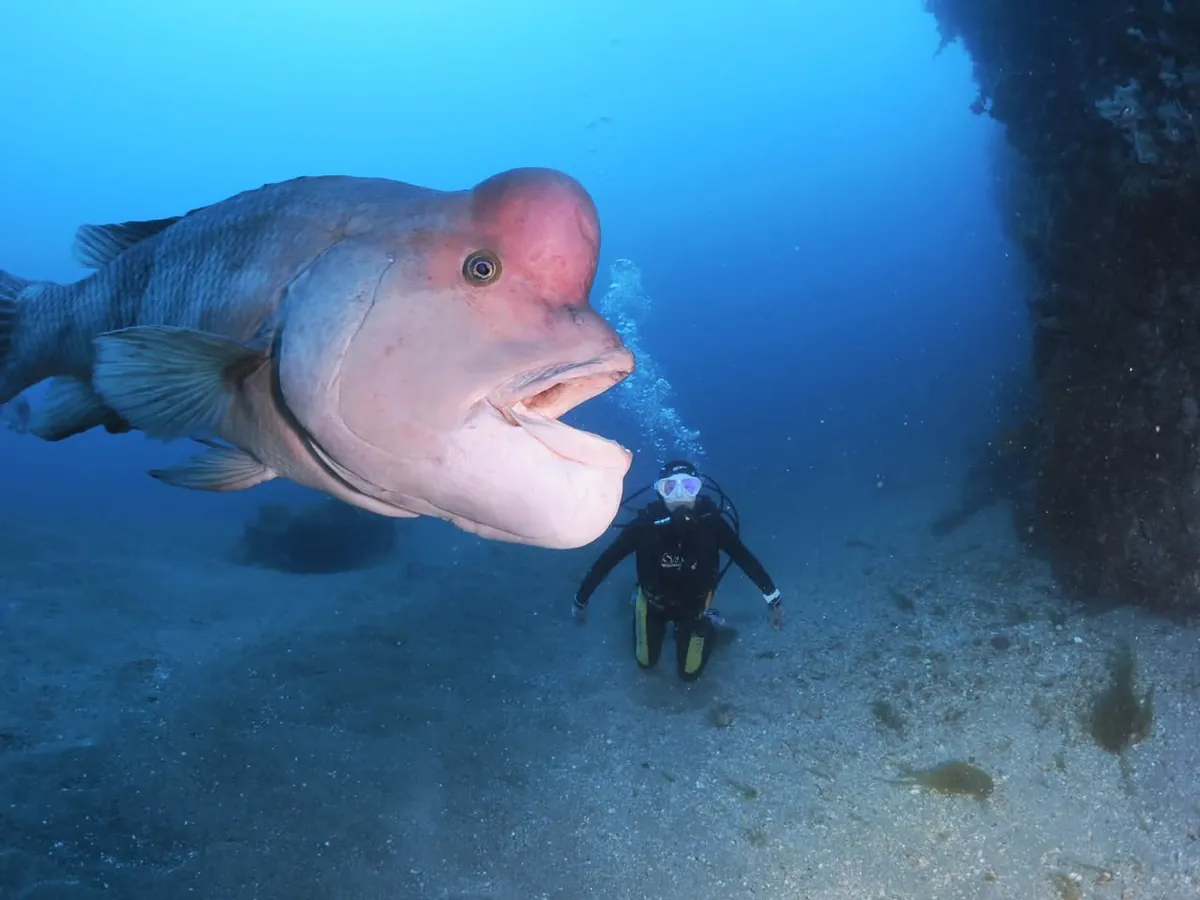 ７月１３日　北小浦 写真2