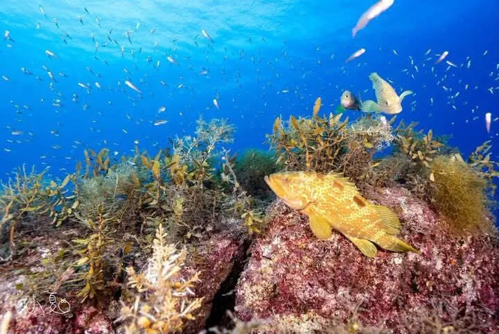 ８月２５日　北小浦（赤岩・漁礁） 写真1