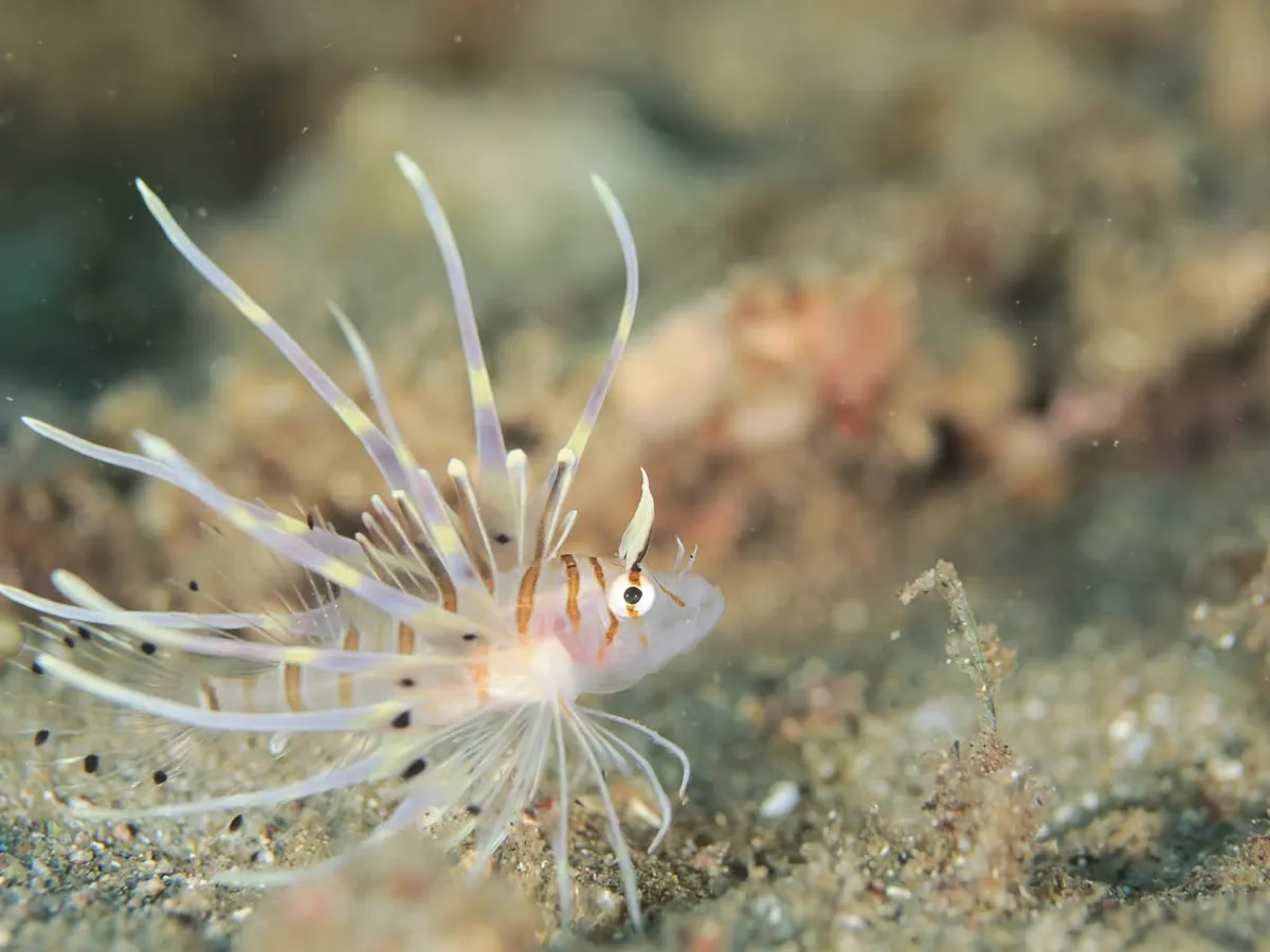 ９月２９日　北小浦 写真2