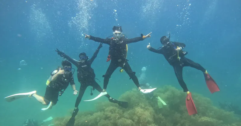 海洋実習 鷲崎の岩場の上で手を広げるダイバーたち
