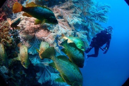 海洋実習 北小浦・赤岩