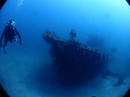 北小浦 見立沈潜の海中