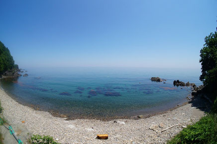 虫崎 弁天ビーチの海中